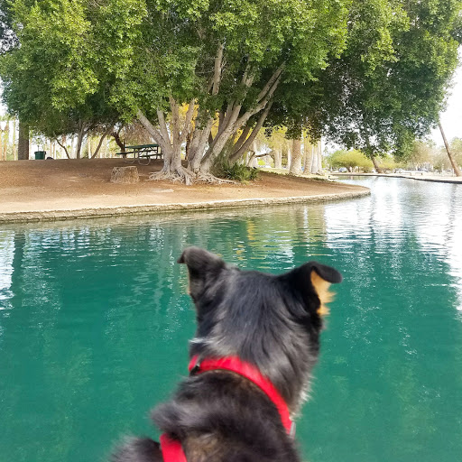 Park «Encanto Park», reviews and photos, 2605 N 15th Ave, Phoenix, AZ 85007, USA