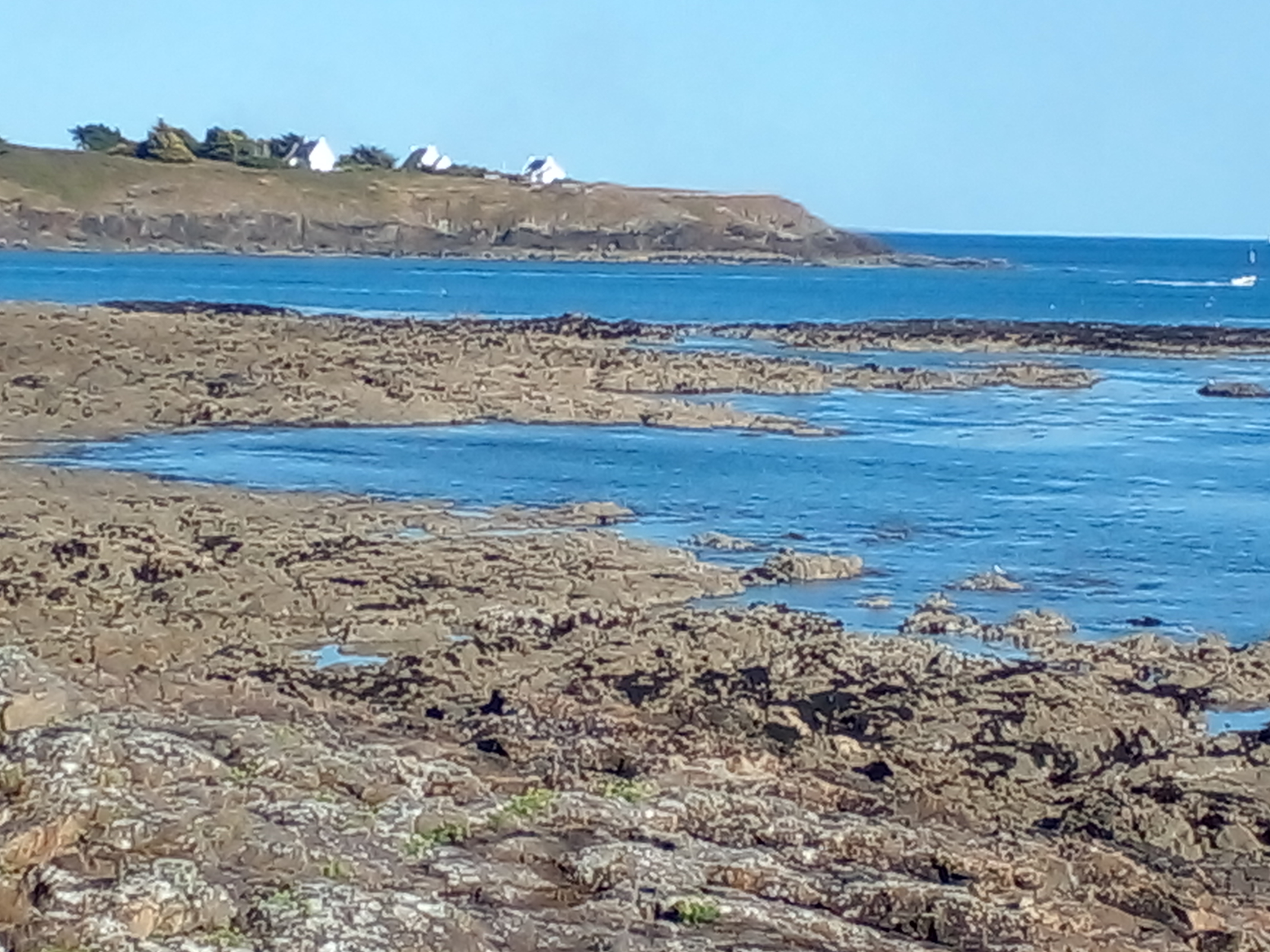Photo n° 29 de l'avis de carole.l fait le 14/08/2022 à 14:12