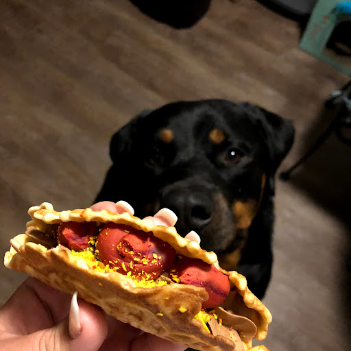 Pet Supply Store «Three Dog Bakery Inc», reviews and photos, 13904 Town Center Blvd # 200, Noblesville, IN 46060, USA