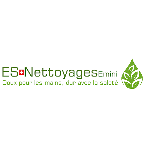 ES Nettoyages EMINI - Lausanne