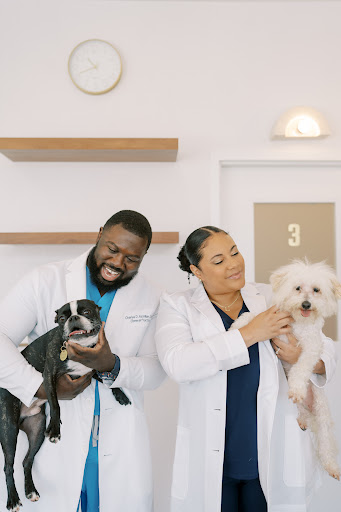 GoodVets Dunwoody image