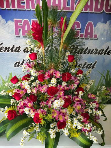 Distribuidora De Flores
