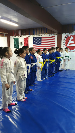 Cursos judo Ciudad Juarez
