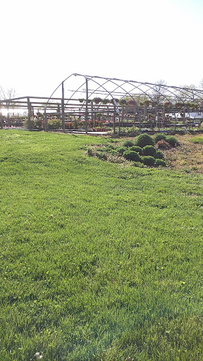 Florist «Parkview Gardens Florist & Greenhouse», reviews and photos, 1925 W Randolph St, St Charles, MO 63301, USA