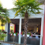 Photo n°2 de l'avis de Ely.l fait le 18/07/2023 à 06:03 sur le  Pizzeria Ristorante Capovolta à Padua