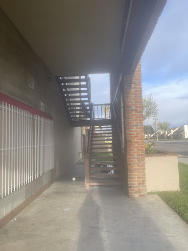 Explore tattoo ideas woman shoulder, creative tattoo ideas in Garden Grove, available at Ashes 2 Ink Tattoo and Piercing LLC