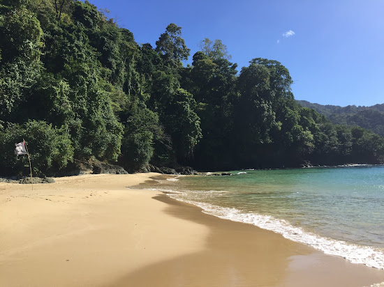 Pirate's Bay beach