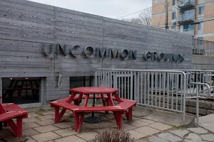 Uncommon Grounds image