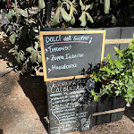 Photo n°1 de l'avis de Willi.p fait le 20/08/2023 à 13:43 sur le  La Baracchina à Vada