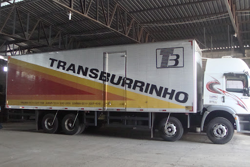 Logo da empresa - TRANSBURRINHO