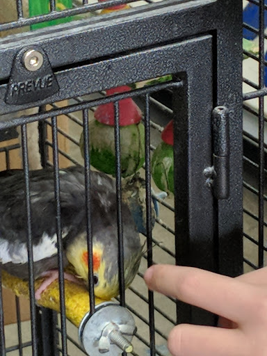 Pet Supply Store «Coastline Pet Supply», reviews and photos, 3530 Northgate Dr, Myrtle Beach, SC 29588, USA