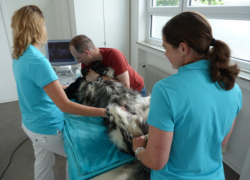 Tierarztpraxis Ludwigsfeld / Neu-Ulm - Dr. Manuela Markl unter Neu-Ulm, Bayern