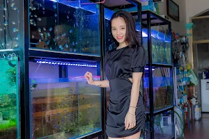 Aquarium fish tanks Archi Hai Duong image