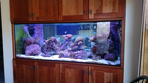 Tropical Fish Store «ABC Aquarium», reviews and photos, 2555 Baird Rd, Penfield, NY 14526, USA