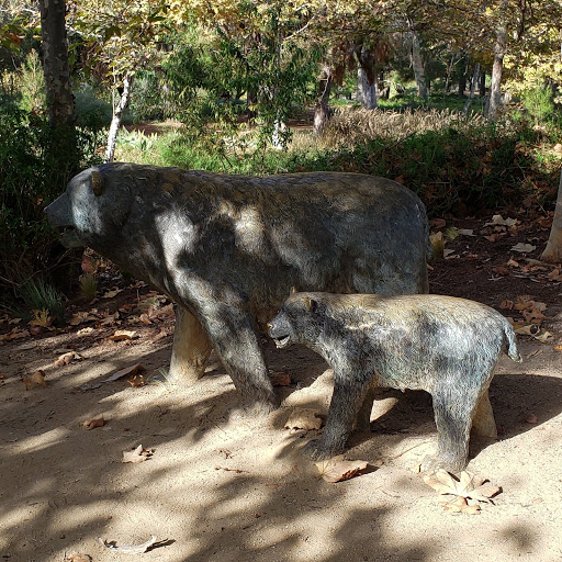 Park «Oso Viejo Community Park», reviews and photos, 24932 Veterans Way, Mission Viejo, CA 92692, USA