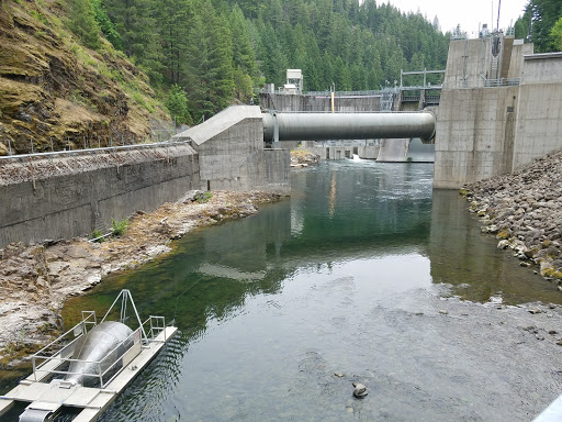 National Forest «Umpqua National Forest», reviews and photos, 1121 Houser Ct, Idleyld Park, OR 97447, USA