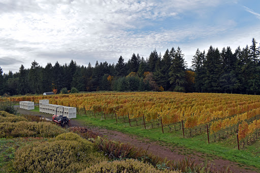 Winery «JK Carriere», reviews and photos, 9995 NE Parrett Mountain Rd, Newberg, OR 97132, USA