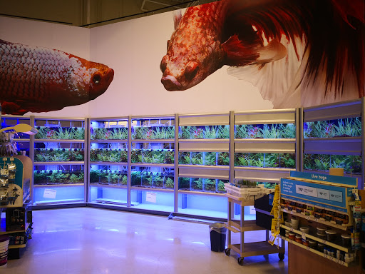 Pet Supply Store «PetSmart», reviews and photos, 6807 W Canal Dr, Kennewick, WA 99336, USA