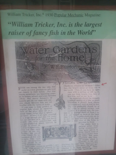 Tropical Fish Store «William Tricker Inc», reviews and photos, 7125 Tanglewood Dr, Cleveland, OH 44131, USA