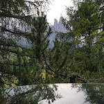 Photo n°20 de l'avis de Simona.n fait le 01/08/2021 à 10:16 sur le  Hotel Rosa ECO Alpine Spa Resort à Kastelruth