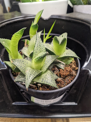 Home Improvement Store «The Home Depot», reviews and photos, 3350 N Woodlawn Blvd, Wichita, KS 67220, USA