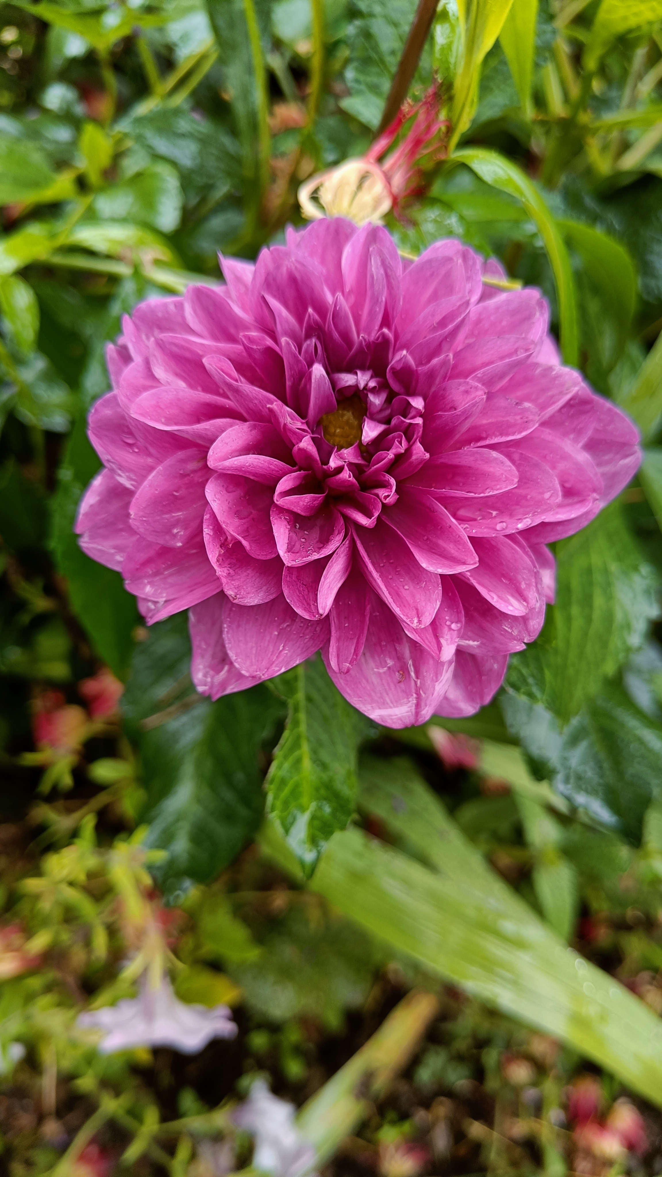 Photo n° 16 de l'avis de Eliot.o fait le 28/07/2023 à 16:35