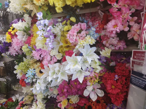 Dollar Store «Dollar Tree», reviews and photos, 12533 Olive Blvd, Creve Coeur, MO 63141, USA