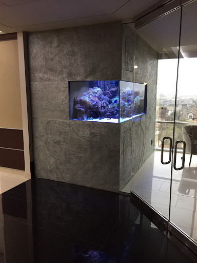 Tropical Fish Store «Aquatic Design», reviews and photos, 1629 N Central Expy, Plano, TX 75075, USA