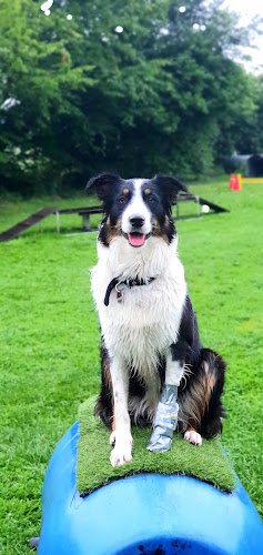 Hundeschule Olching - Gaby Kühnel - Carouge