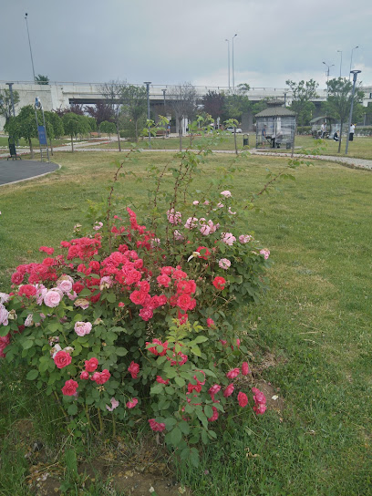 Batı Parkı