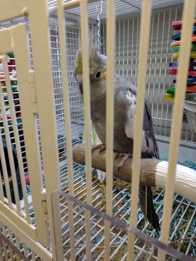 Pet Supply Store «Pet Supplies Plus», reviews and photos, 4332 Kent Rd, Stow, OH 44224, USA