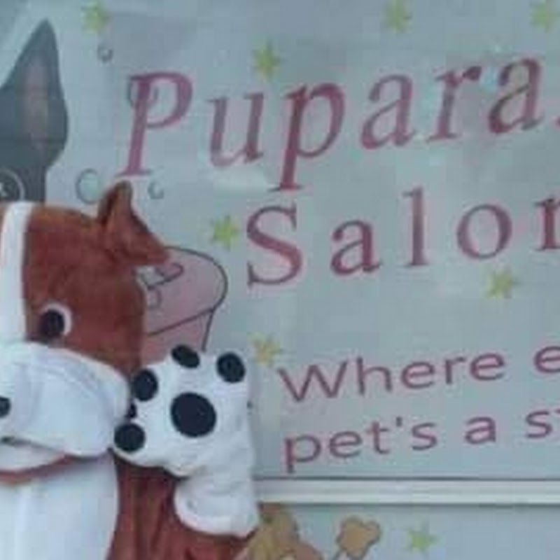 Puparazzi Salon