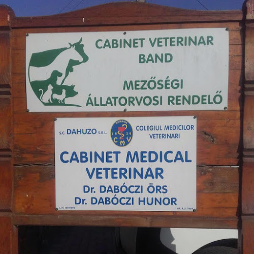 Opinii despre Cabinet Veterinar DAHUZO în <nil> - Veterinar