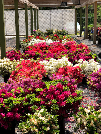 Plant Nursery «Potomac Petals and Plants», reviews and photos, 9545 River Rd, Rockville, MD 20854, USA