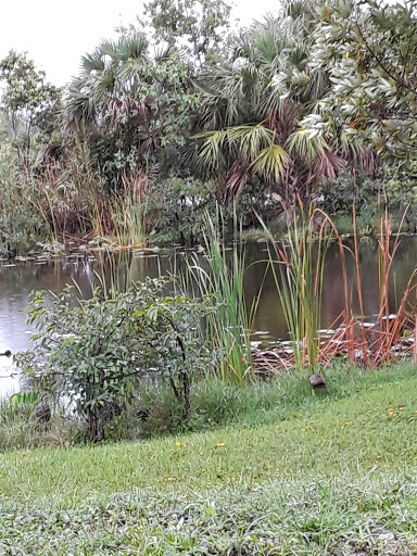 Nature Preserve «Karen T. Marcus Sandhill Crane Access Park», reviews and photos, 8175 PGA Boulevard, Palm Beach Gardens, FL 33418, USA