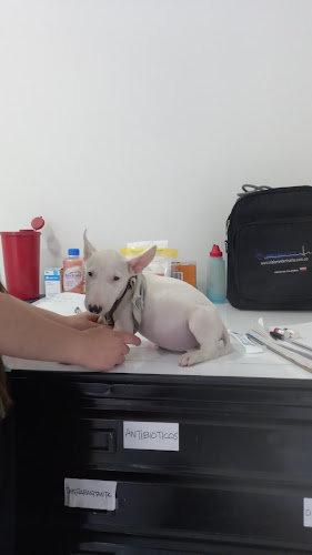 Veterinaria La Maria