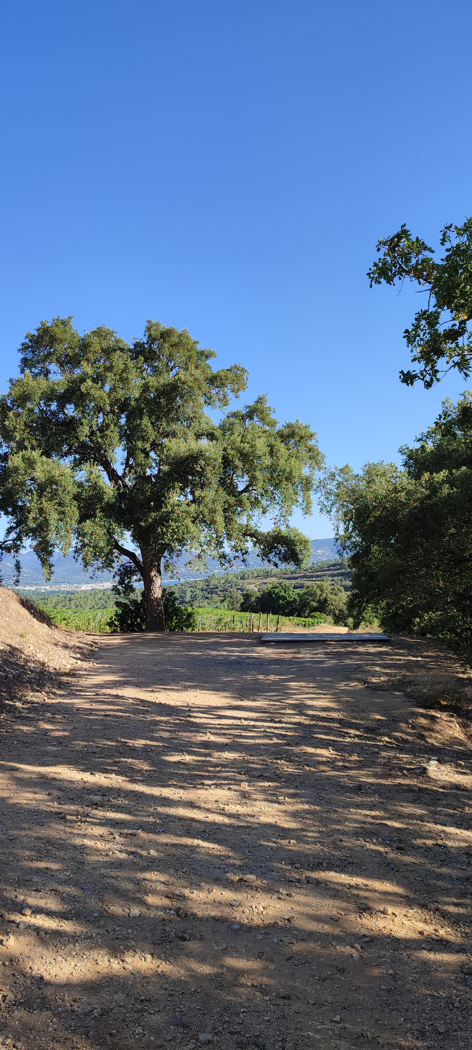 Photo n° 1 de l'avis de E. fait le 10/08/2023 à 16:06