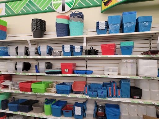 Dollar Store «Dollar Tree», reviews and photos, 11150 Research Blvd, Austin, TX 78759, USA