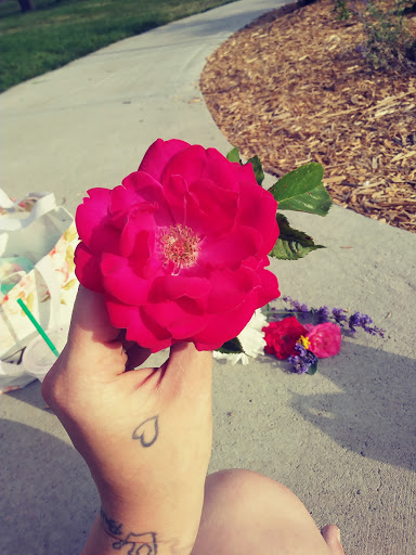 Park «Huset Park», reviews and photos, 3965 Jefferson St NE, Columbia Heights, MN 55421, USA