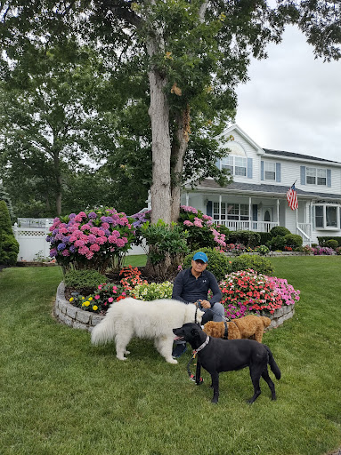 Home Improvement Store «The Home Depot», reviews and photos, 399 William Floyd Pkwy, Shirley, NY 11967, USA