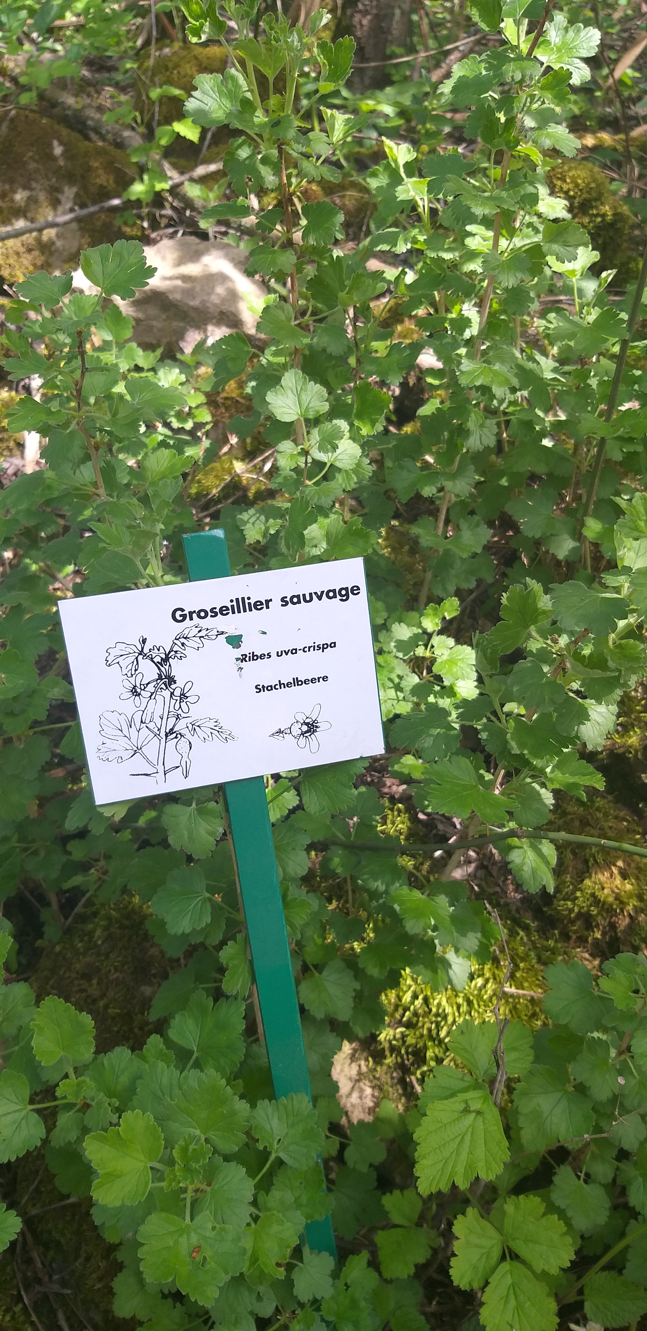 Photo n° 6 de l'avis de Ruediger.e fait le 22/04/2019 à 16:26