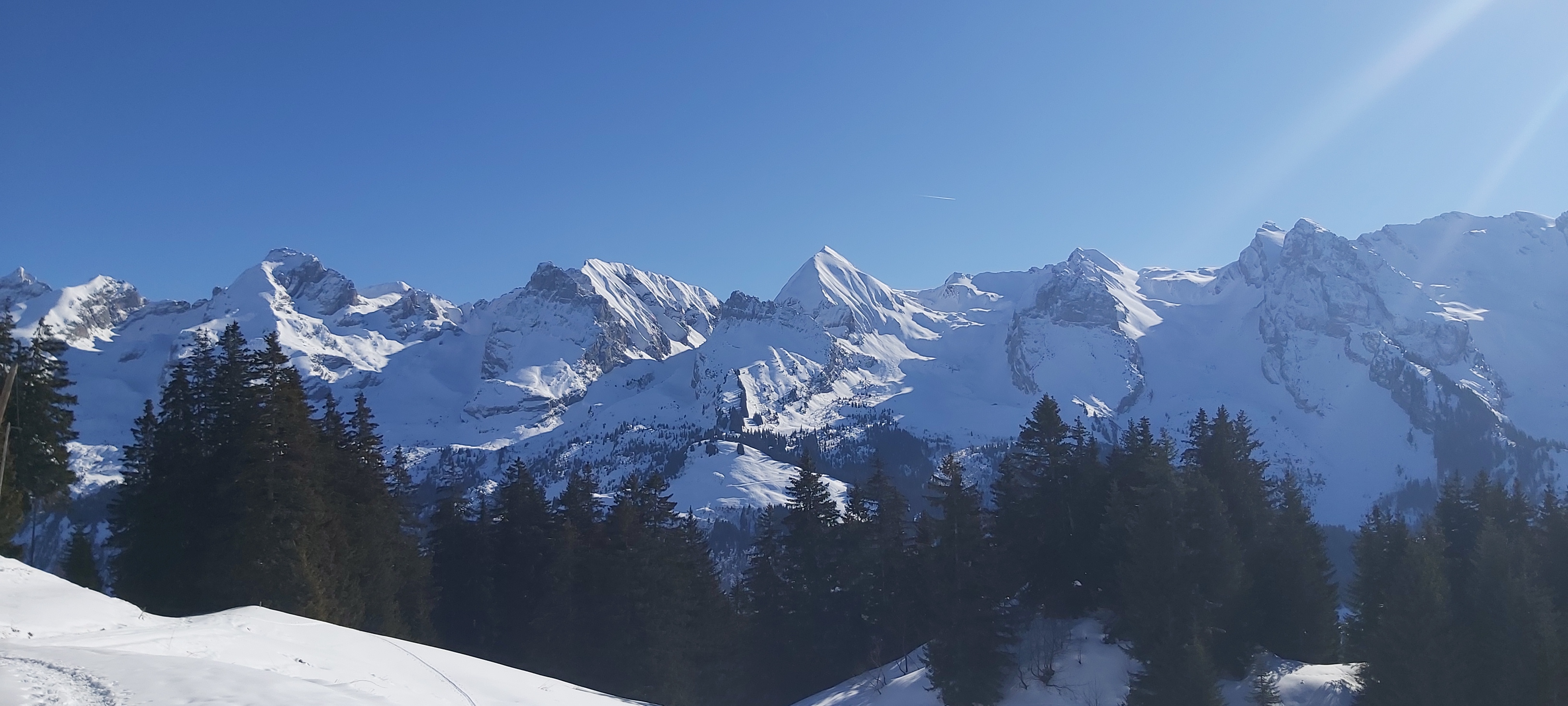 Photo n° 12 de l'avis de Francois.e fait le 06/02/2022 à 14:56