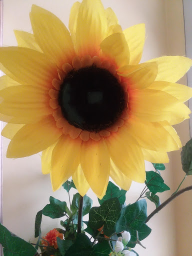 Donut Shop «Dunkin Donuts», reviews and photos, 645 Penn St, Reading, PA 19601, USA