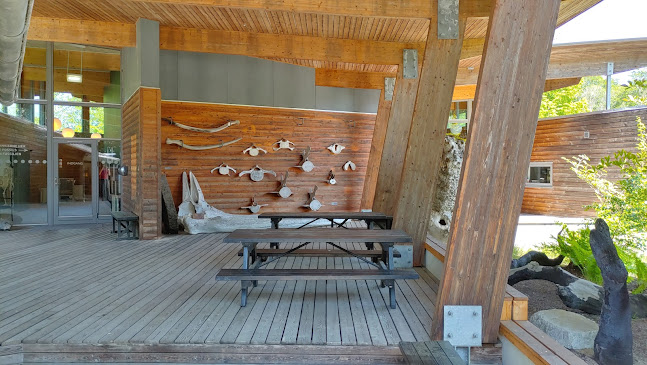 Telefonnummer for Gram Lergrav