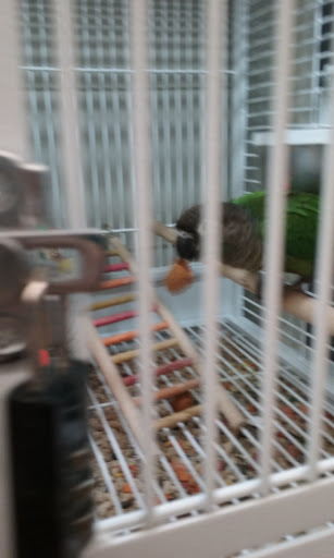 Pet Supply Store «Pet Supplies Plus», reviews and photos, 3205 W 115th St, Merrionette Park, IL 60803, USA