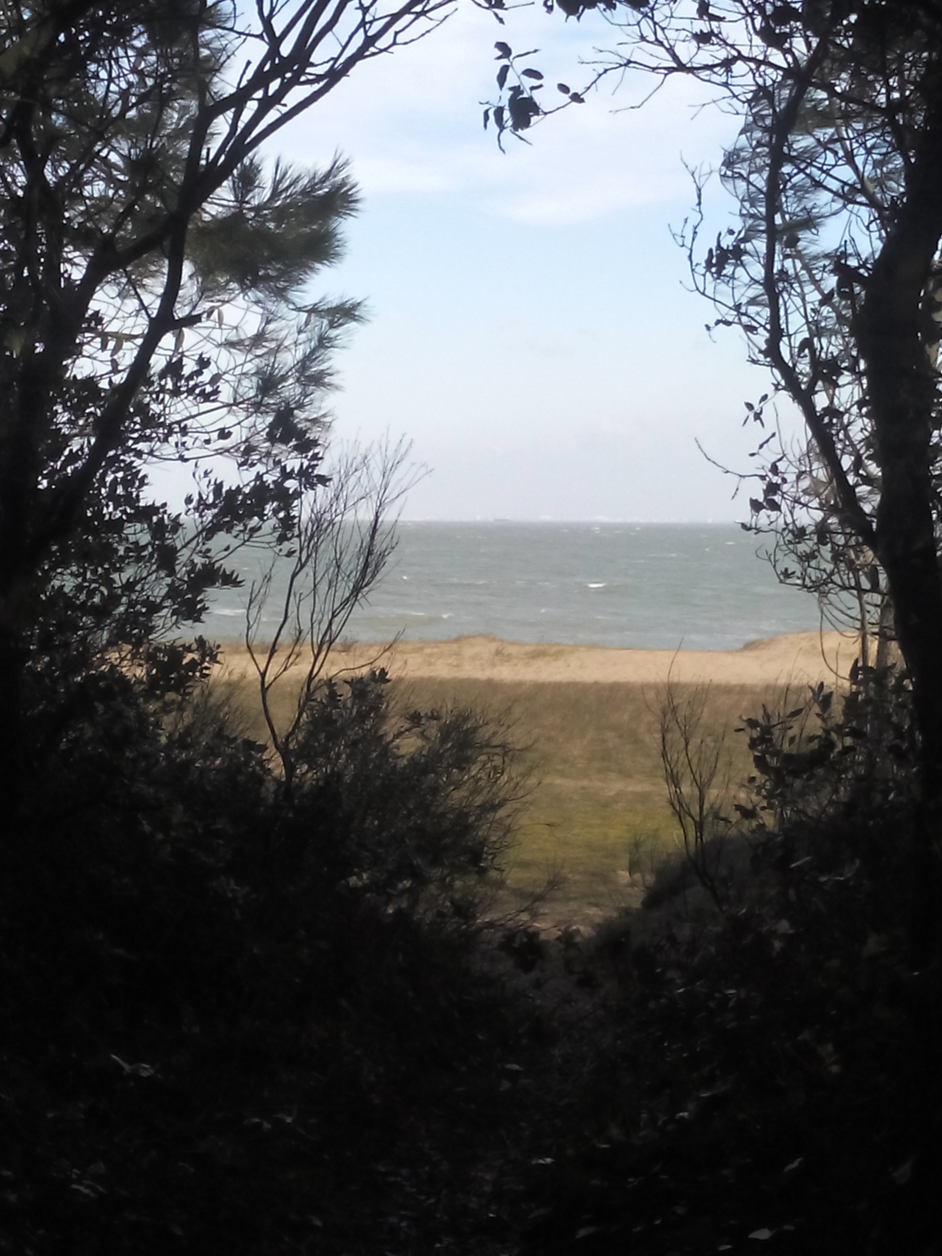 Photo n° 2 de l'avis de Jean-Luc.o fait le 02/02/2019 à 13:44