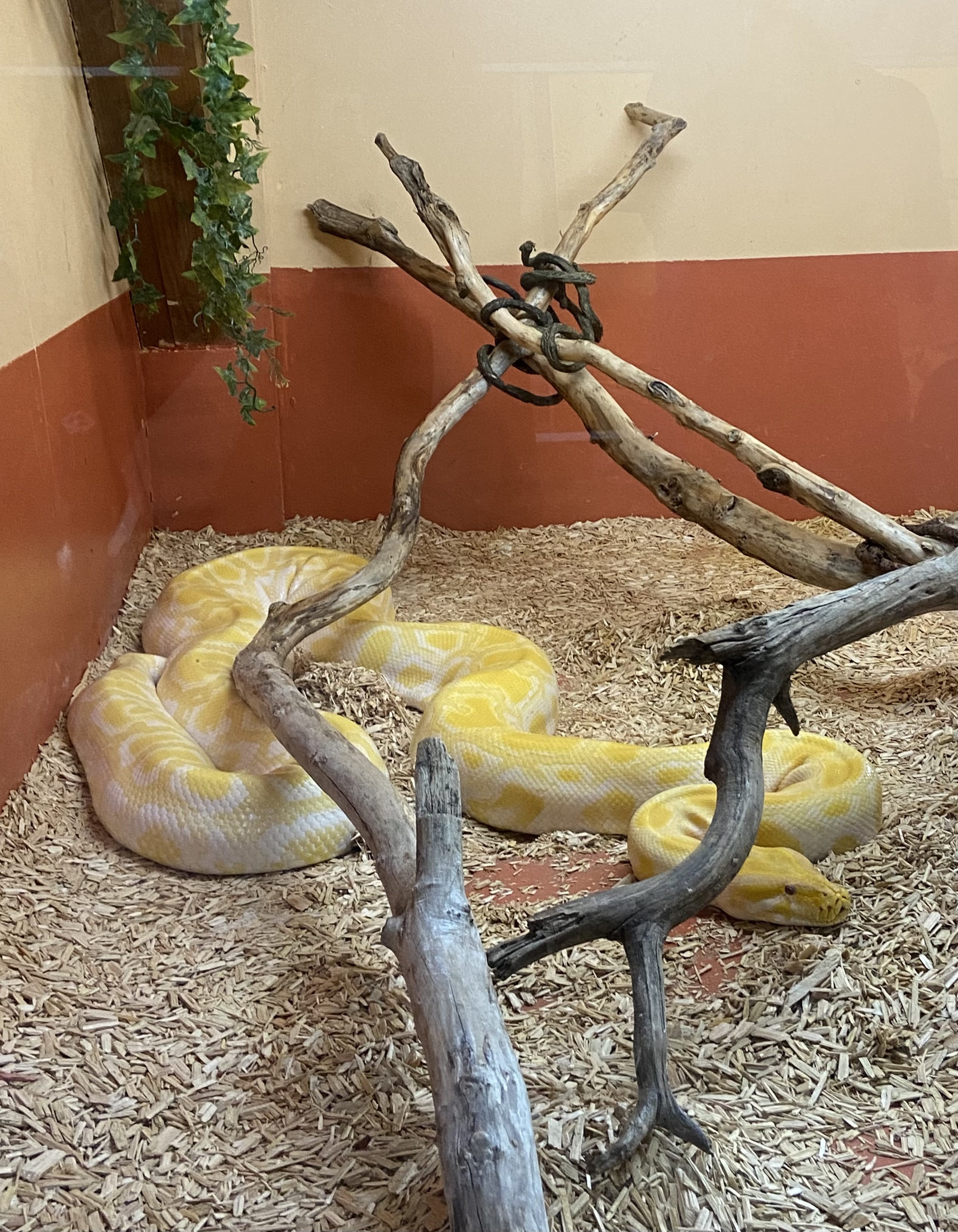 Photo n° 6 de l'avis de Sarah. fait le 17/08/2023 à 11:29