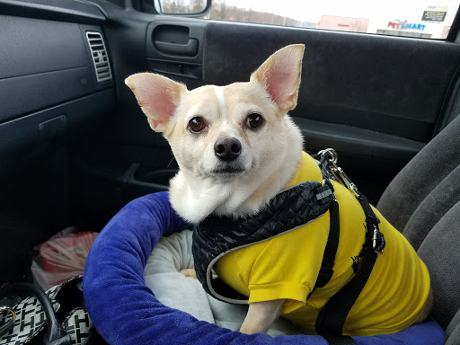 Pet Supply Store «PetSmart», reviews and photos, 467 Cross Keys Rd, Sicklerville, NJ 08081, USA