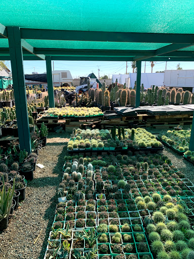 Gas Station «Circle K», reviews and photos, 12707 W Grand Ave, Surprise, AZ 85374, USA