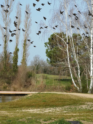 GOLF DES CHARMILLES à Lafrançaise